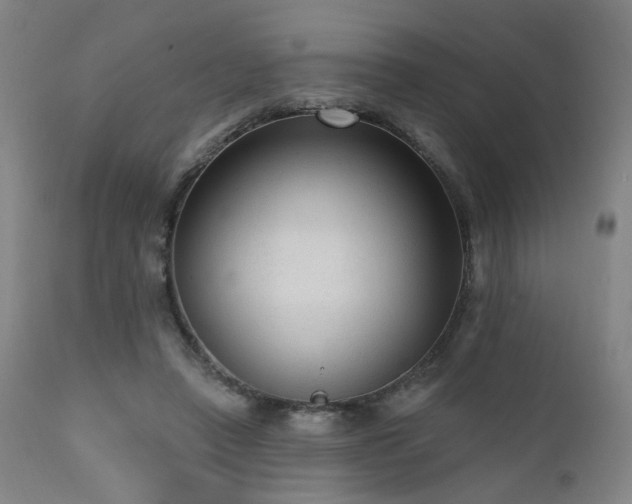 X0000111460450200907131500
