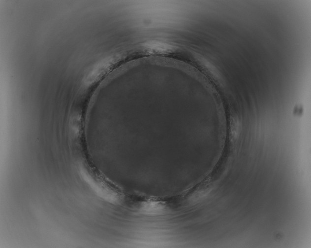 X0000111460451200907131500