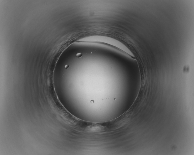 X0000111460452200907131500