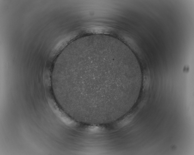 X0000111460453200907131500