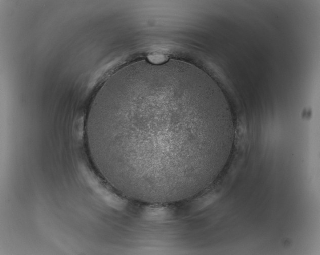 X0000111460454200907131500