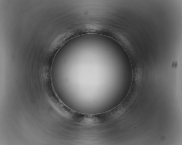 X0000111460455200907131500
