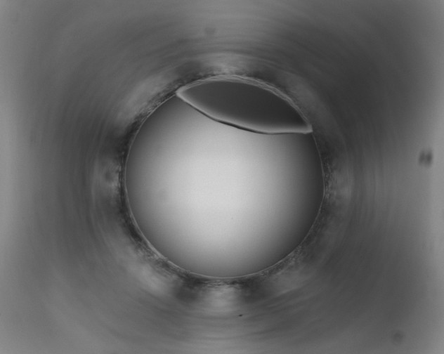 X0000111460456200907131500
