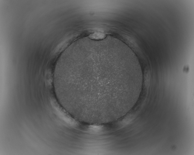 X0000111460457200907131500