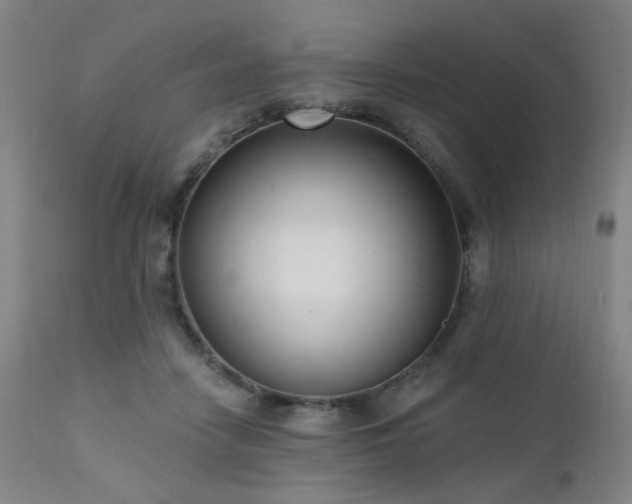 X0000111460458200907131500