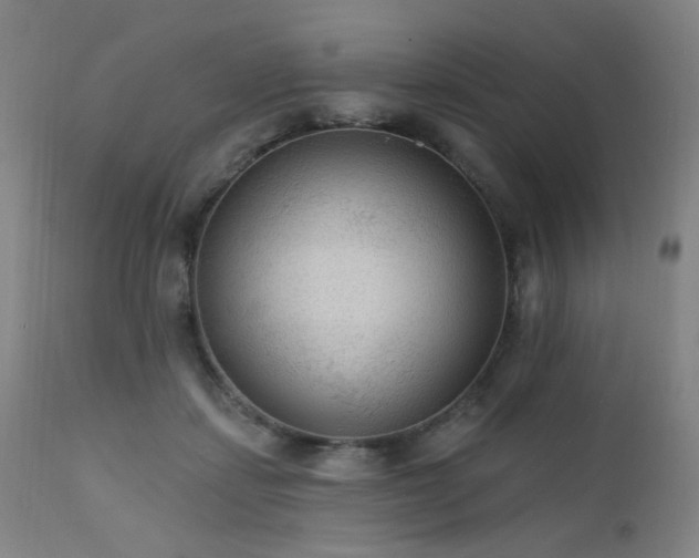 X0000111460459200907131500