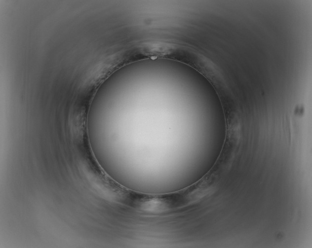 X0000111460460200907131500