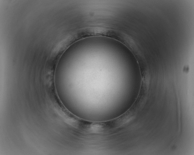 X0000111460462200907131500