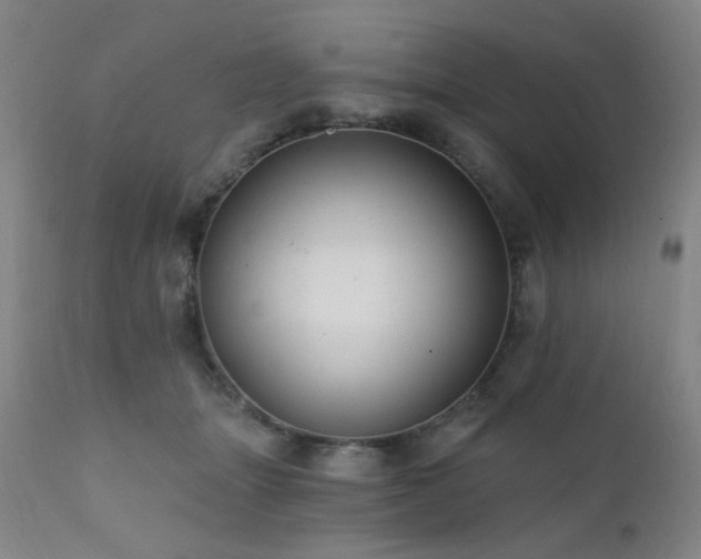 X0000111460463200907131500