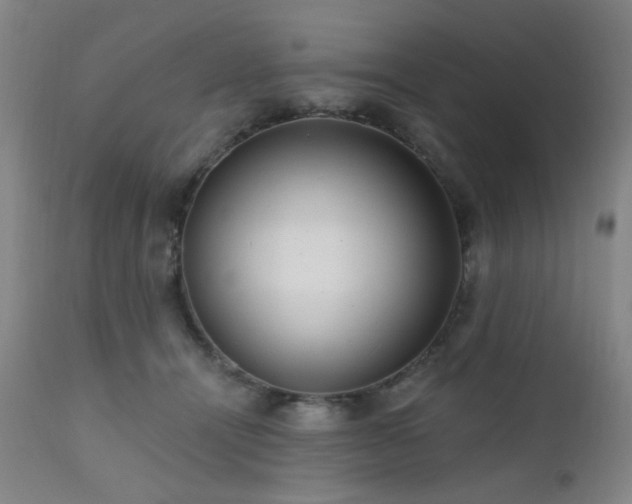 X0000111460464200907131500