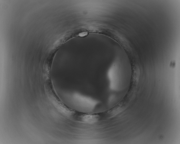 X0000111460465200907131500