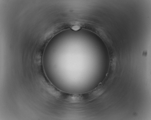 X0000111460466200907131500