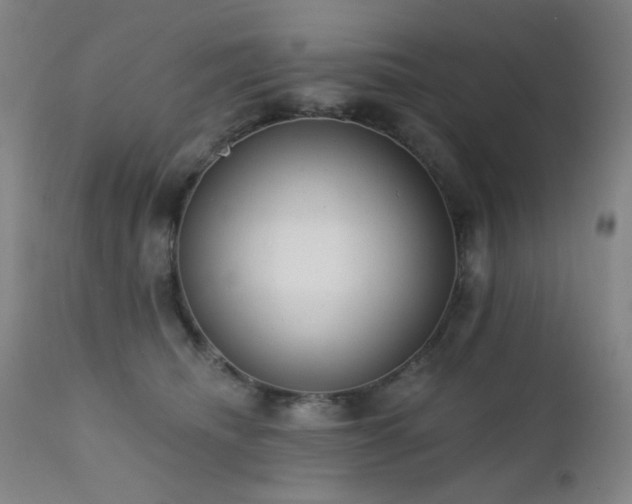 X0000111460468200907131500