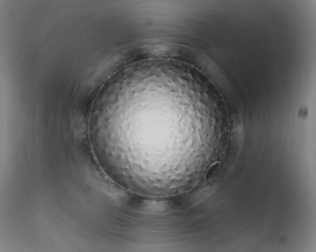 X0000111460469200907131500
