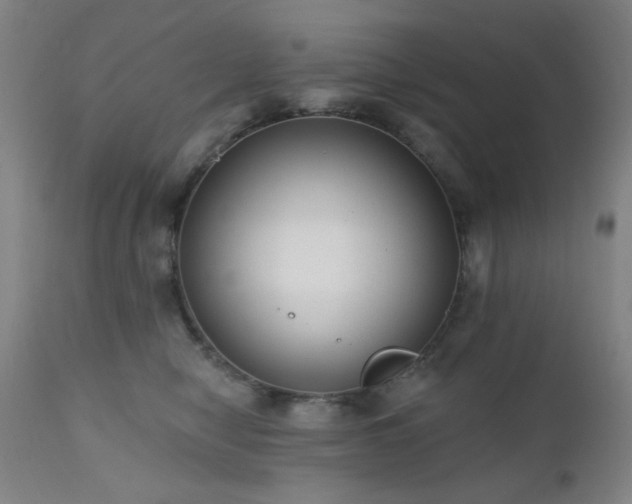 X0000111460470200907131500
