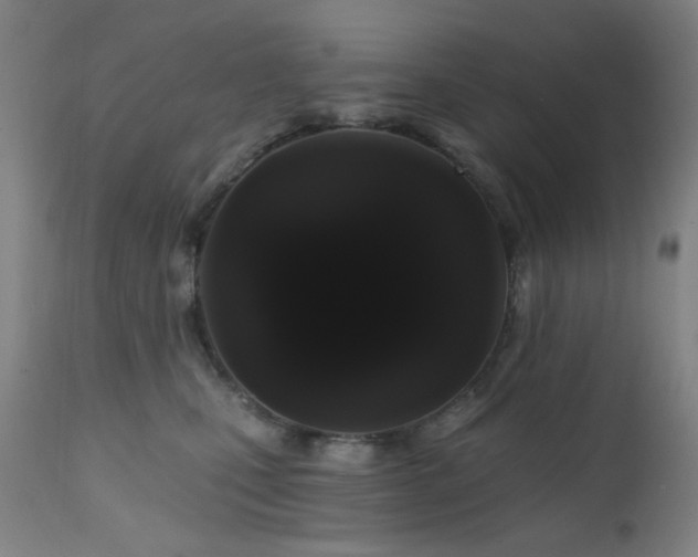 X0000111460471200907131500