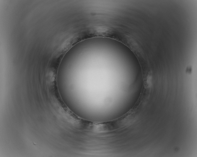 X0000111460472200907131500