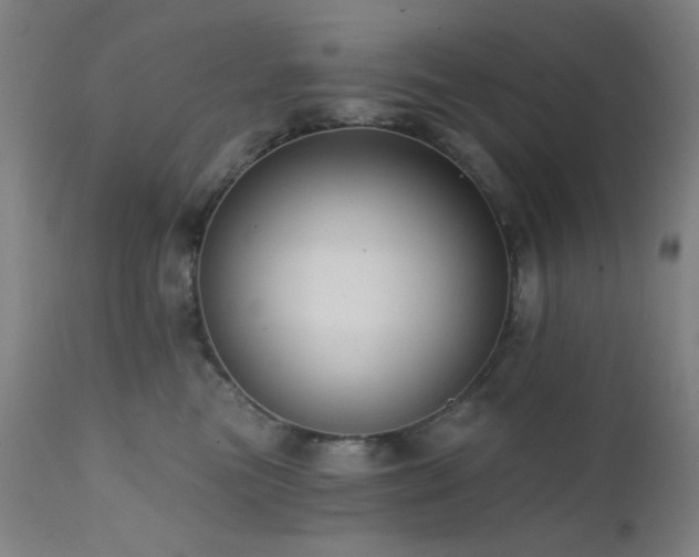 X0000111460473200907131500