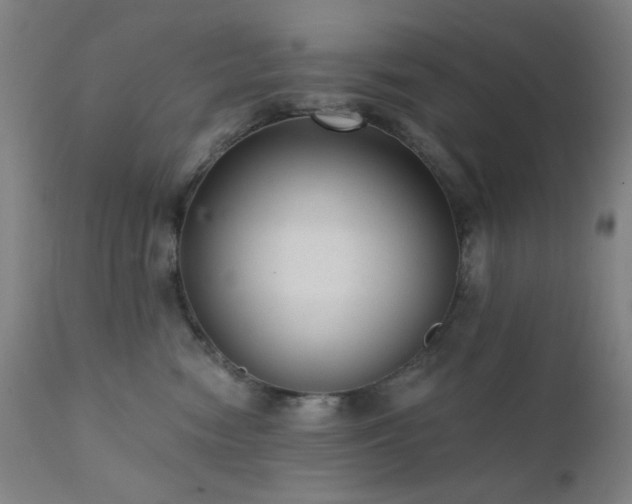 X0000111460474200907131500