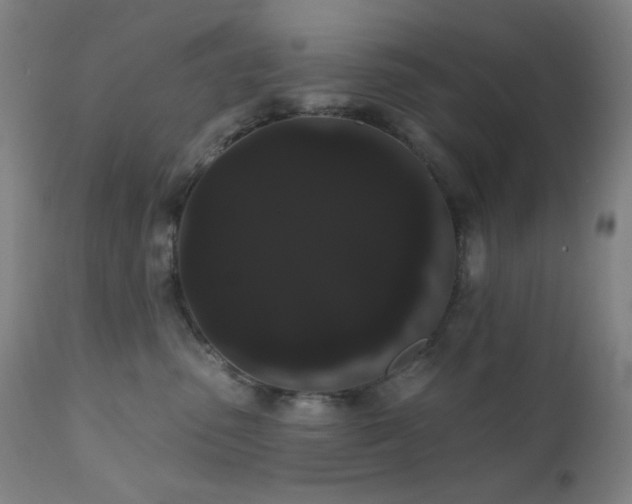 X0000111460475200907131500