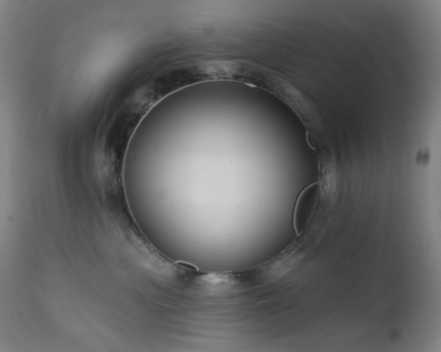 X0000111460477200907131500