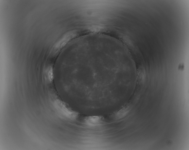 X0000111460479200907131500