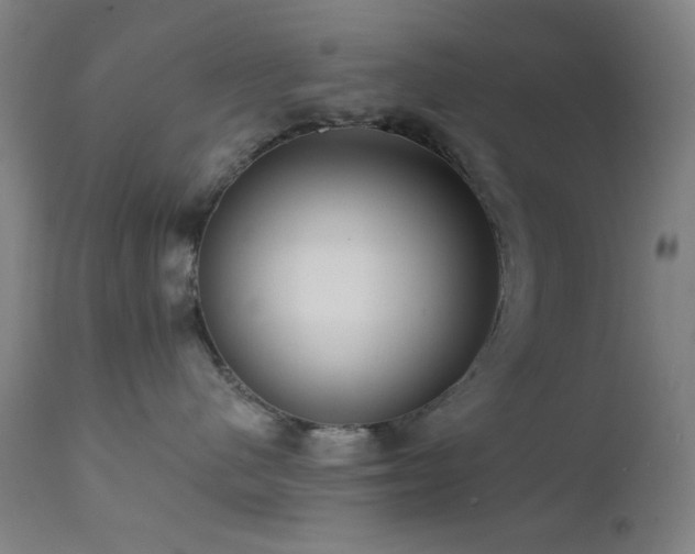 X0000111460480200907131500