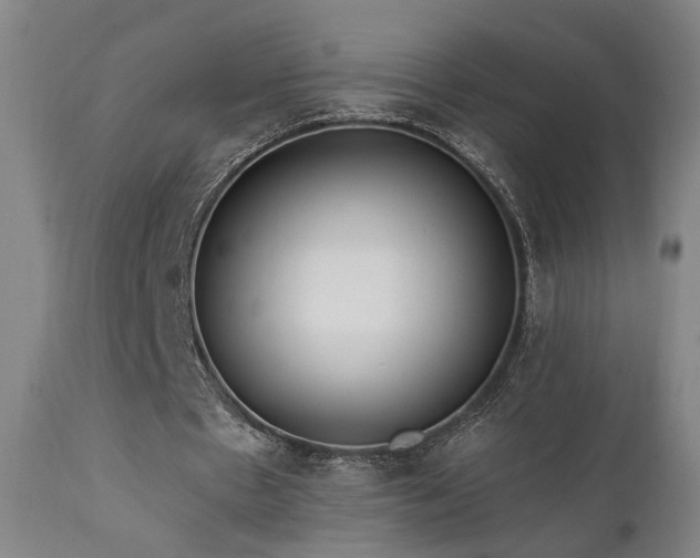 X0000111460481200907131459