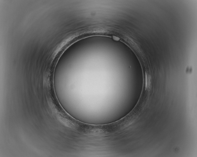 X0000111460483200907131459