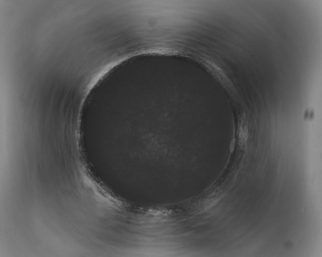 X0000111460484200907131459