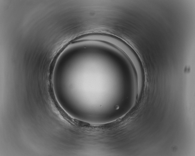 X0000111460485200907131459