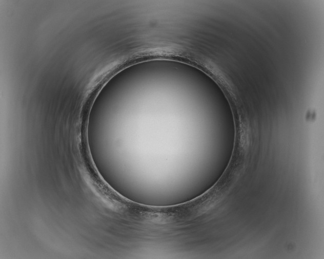 X0000111460486200907131459