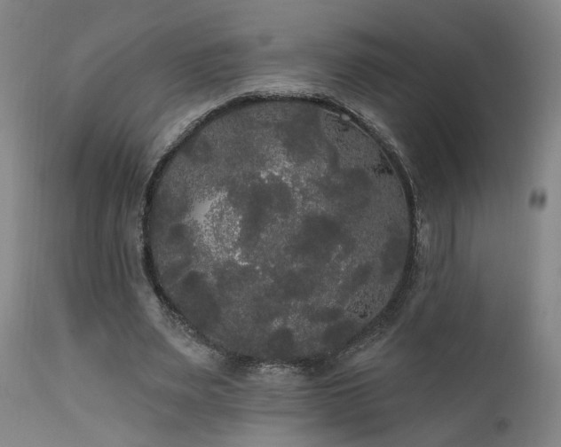 X0000111460487200907131459