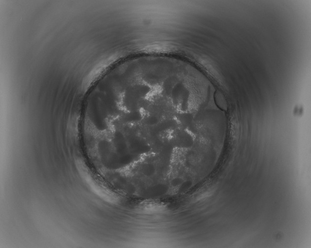 X0000111460491200907131459