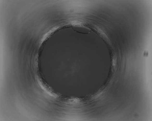 X0000111460492200907131459