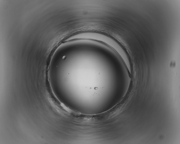 X0000111460493200907131459