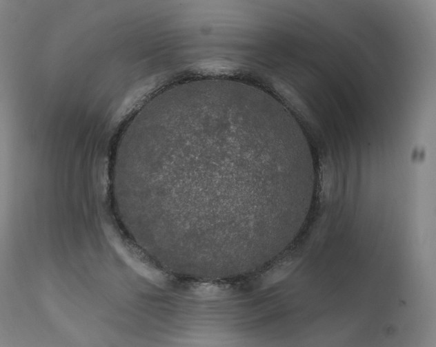 X0000111460494200907131459