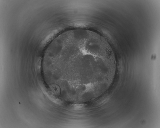 X0000111460495200907131459