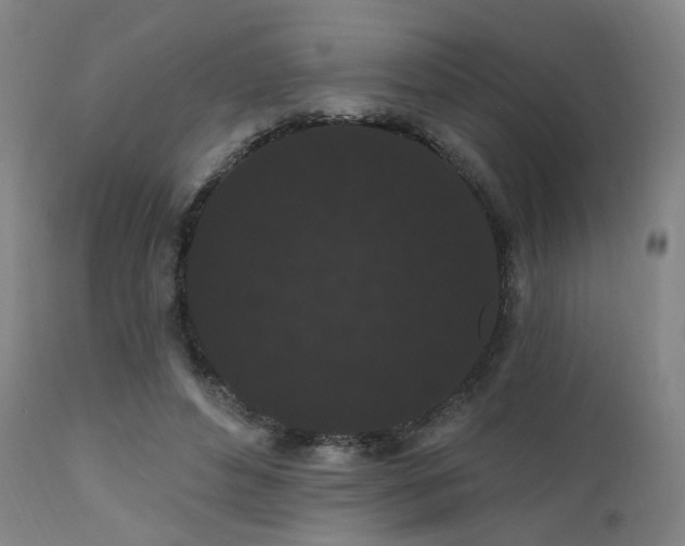X0000111460496200907131459