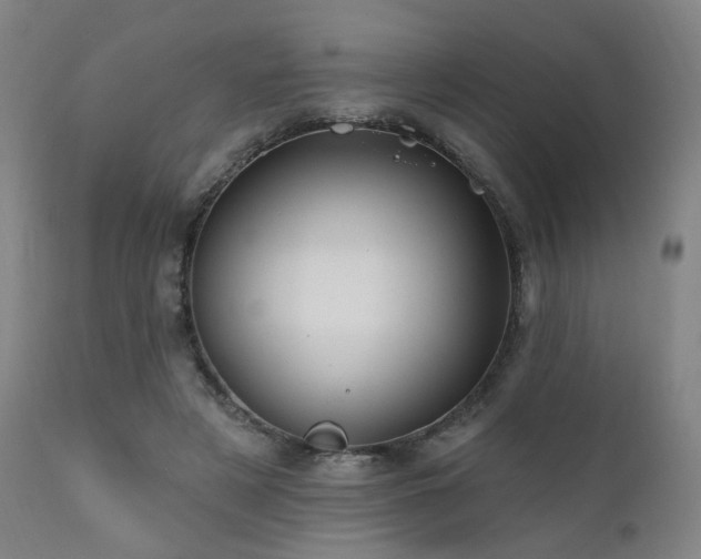 X0000111460497200907131459