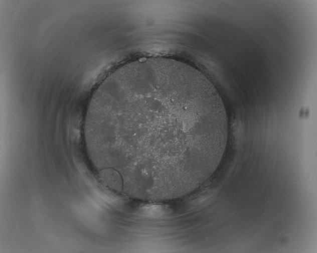 X0000111460499200907131459