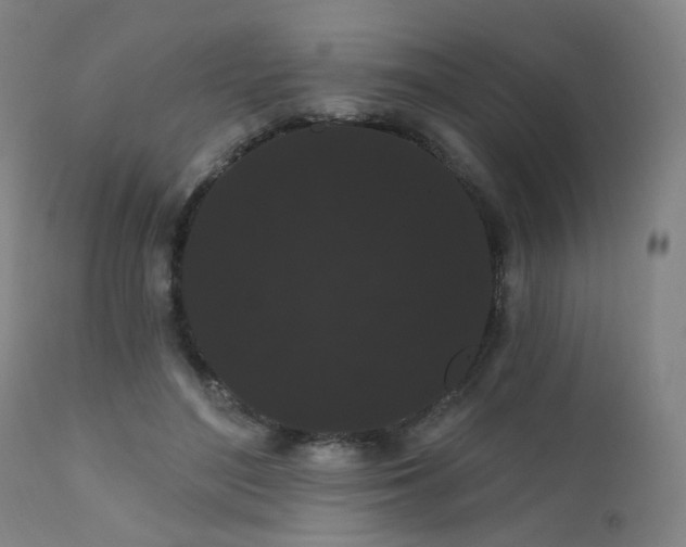 X0000111460500200907131459