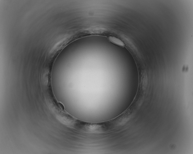 X0000111460501200907131459