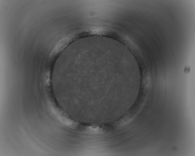 X0000111460502200907131459