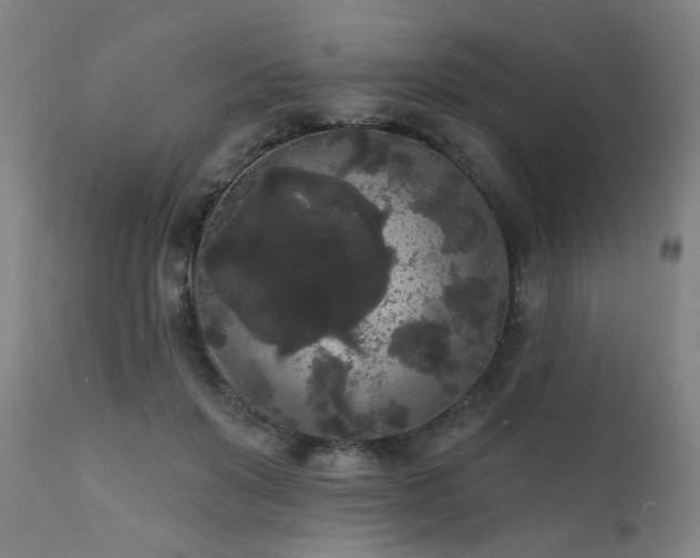 X0000111460503200907131459