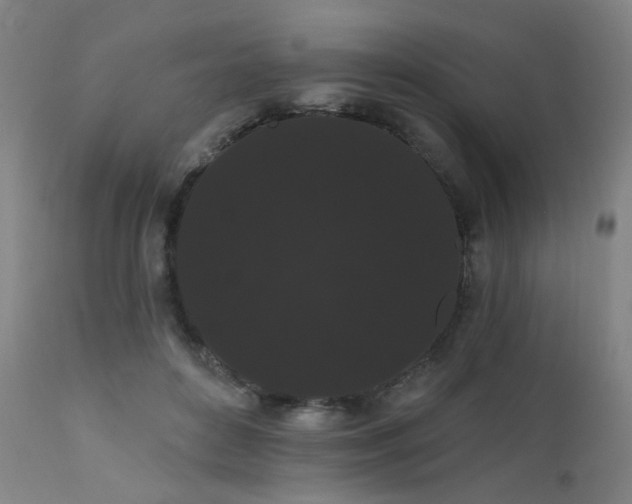 X0000111460504200907131459