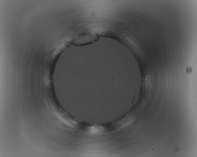 X0000111460508200907131459