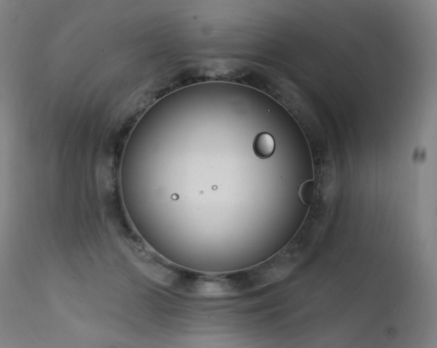 X0000111460510200907131459