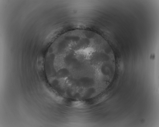 X0000111460511200907131459