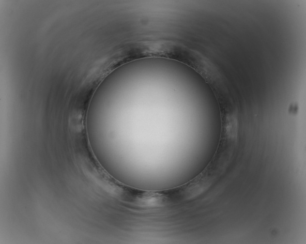 X0000111460514200907131459